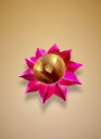 generated-image(1).webp